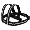 MiniBiker Safety Belt